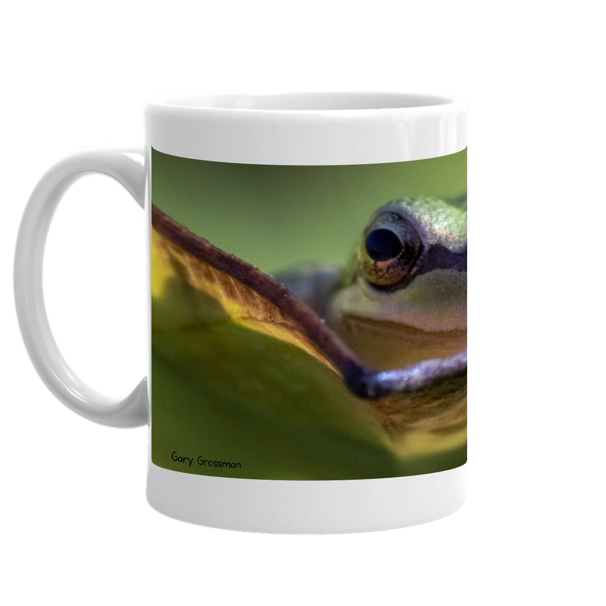 2022 Pacific Chorus Frog (closeup) mug