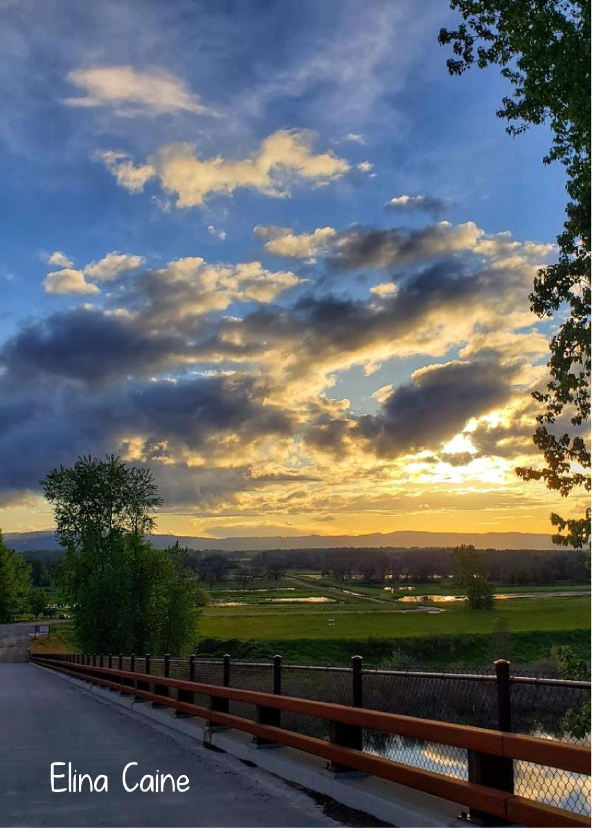 2022 Refuge Entrance Bridge Sunset photo card