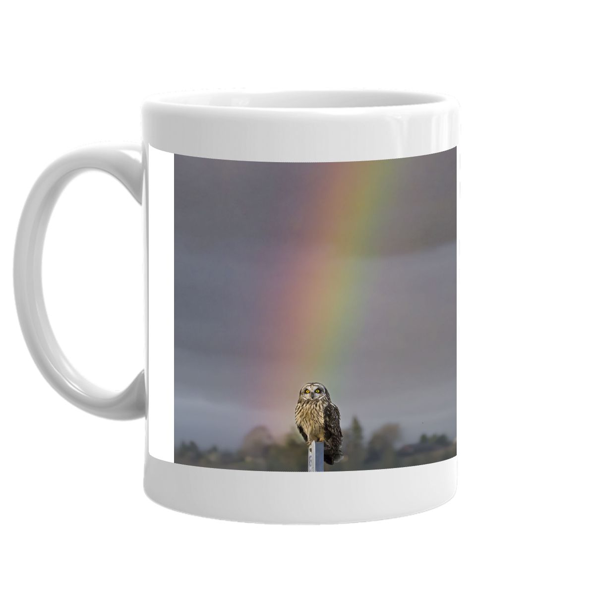 Short-eared Owl & Rainbow 2023 mug