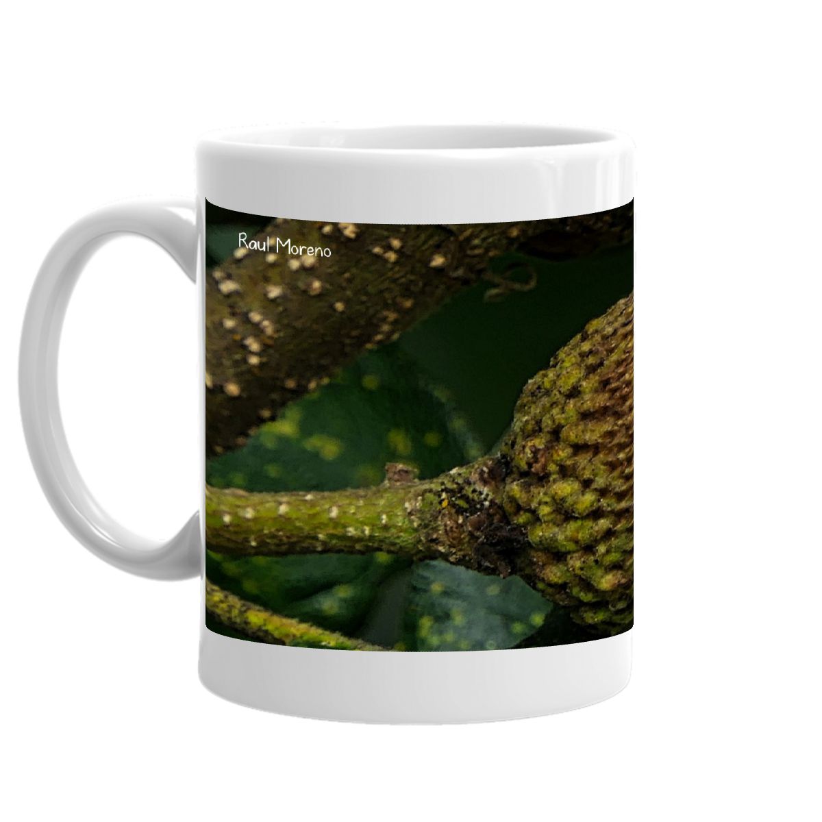 2020 Acorn mug
