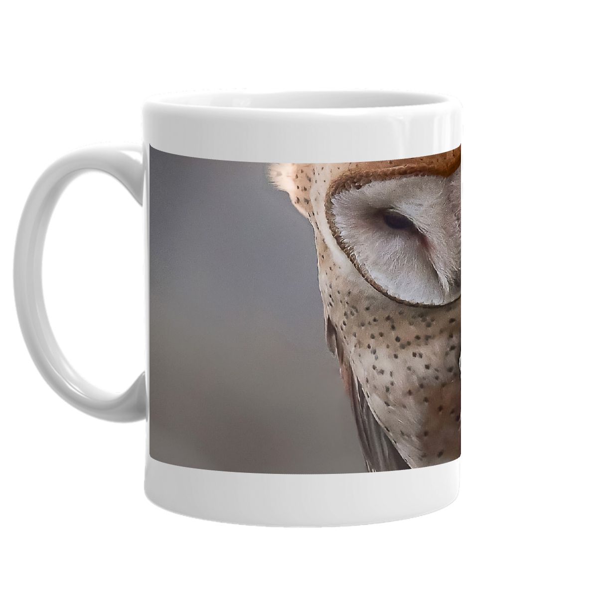 Friends of RNWR Barn Own mug