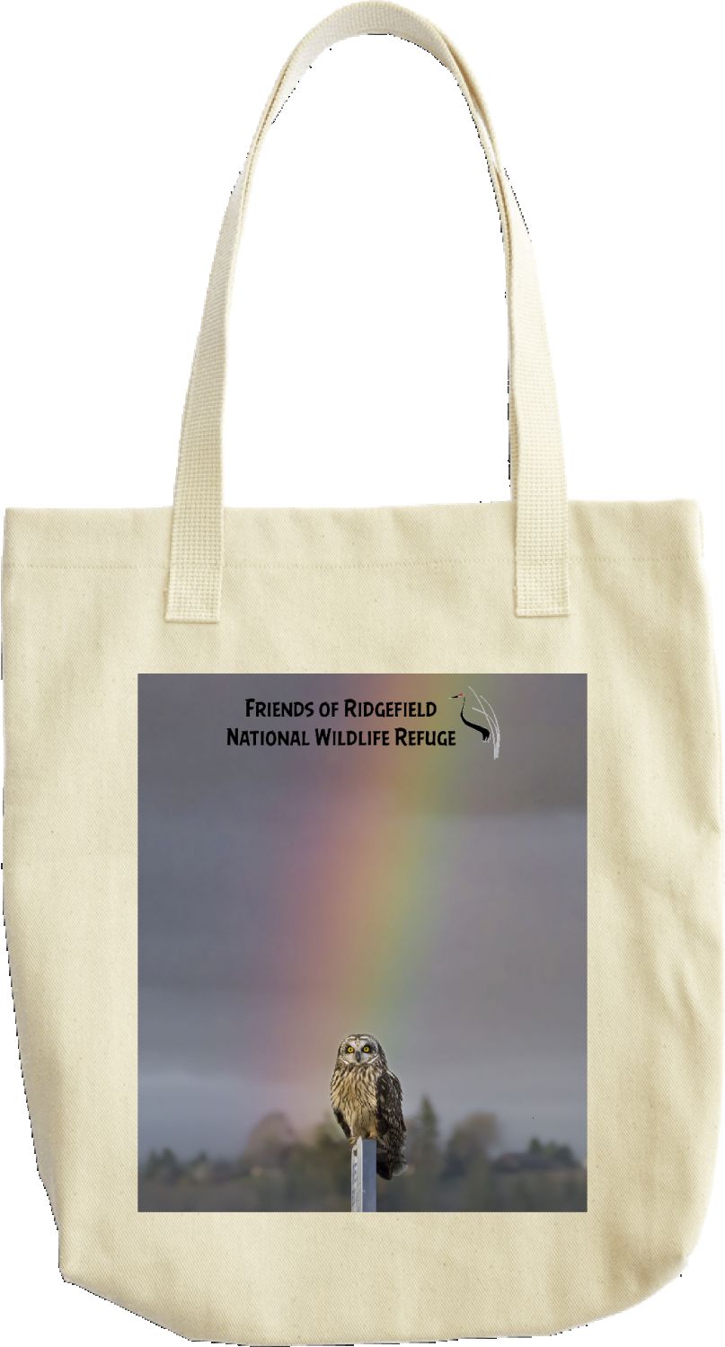 Short-eared Owl & Rainbow 2023 tote bag