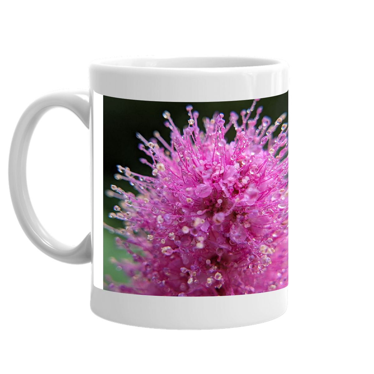 Douglas's Spirea 2023 mug