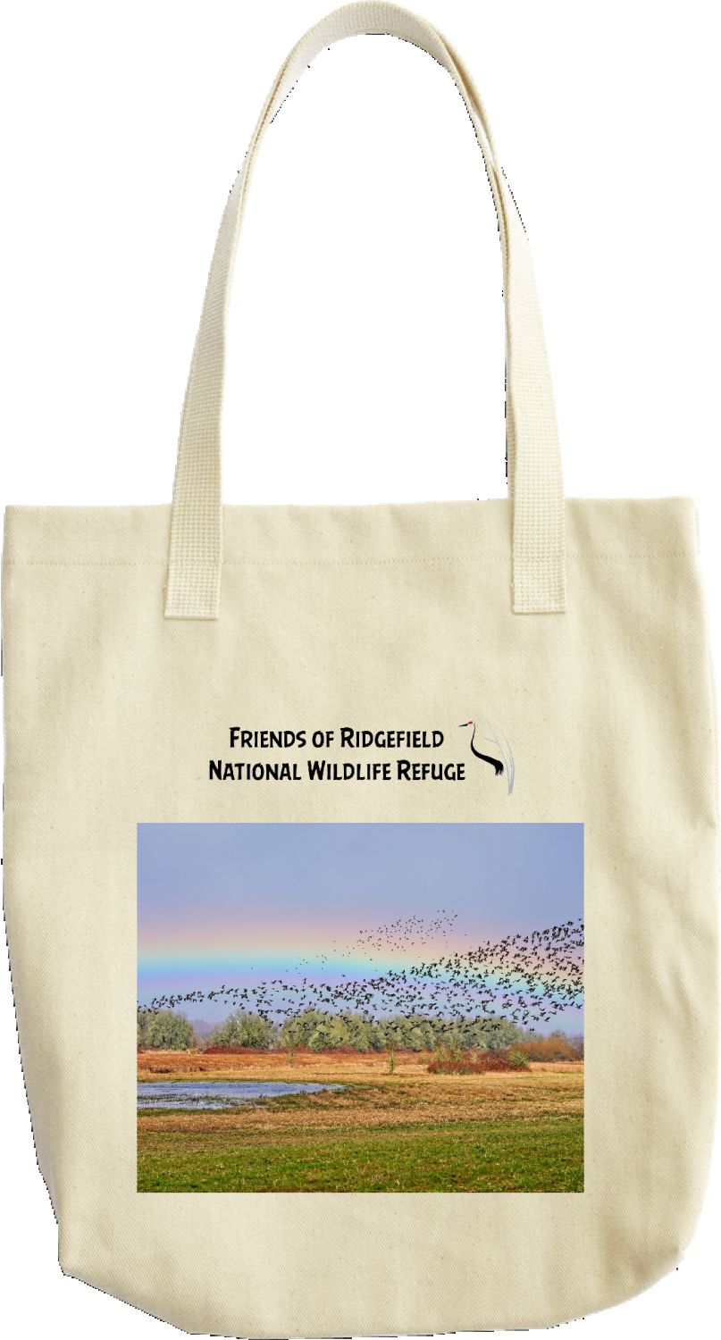 Rainbow & Goose Flock 2023 tote bag