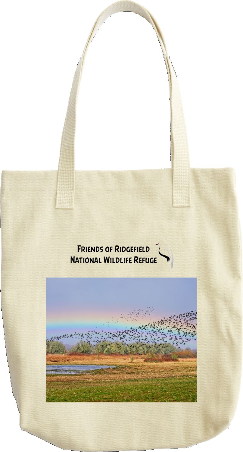 Rainbow & Goose Flock 2023 tote bag