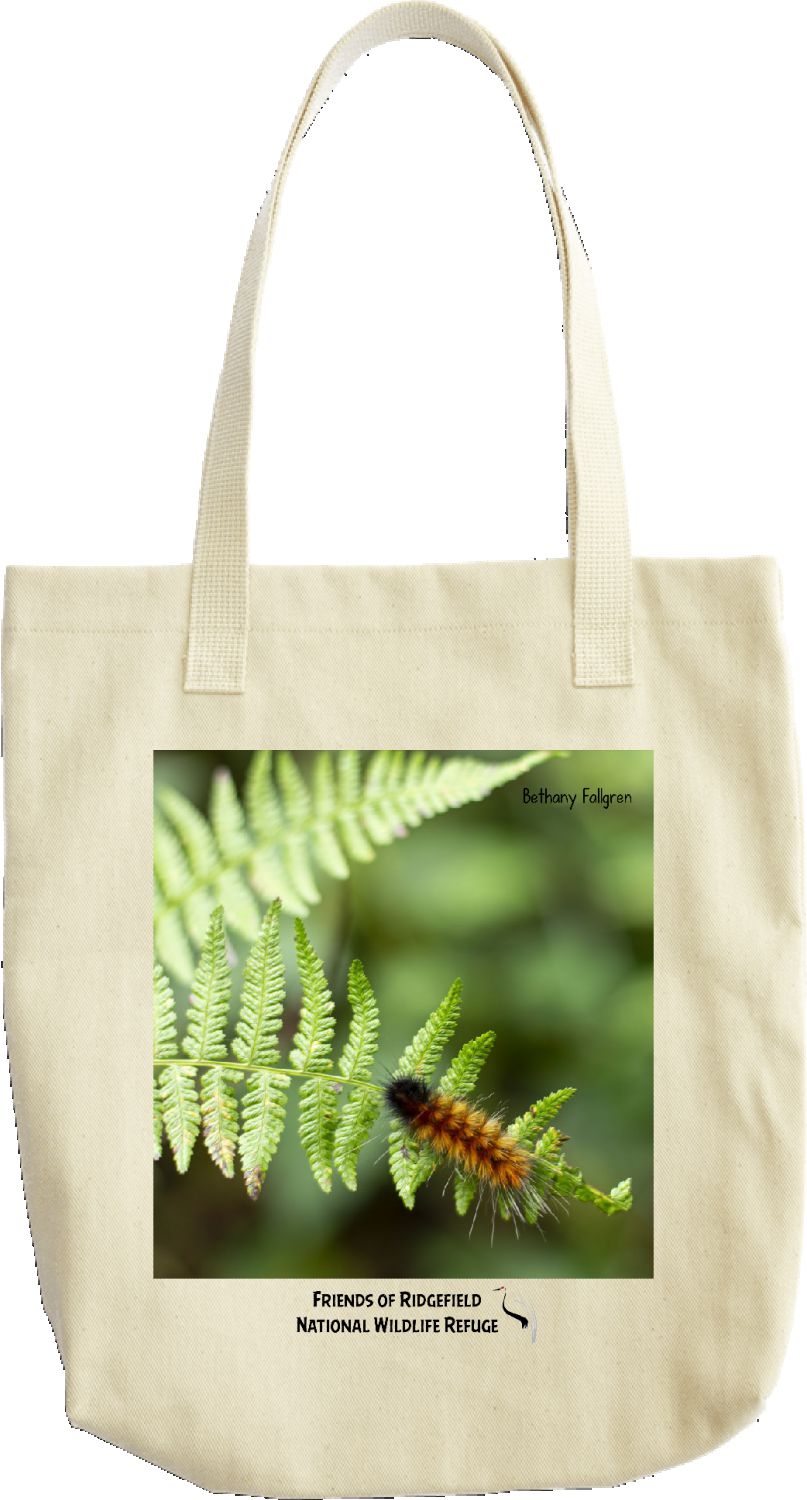2020 Lady Fern tote