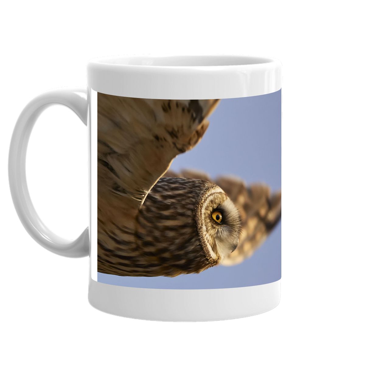 Short-eared Owl 1 2023 mug