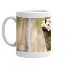 2022 Rufous Hummingbird Mug