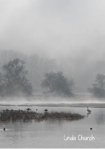 Foggy Wetland 2023 photo card