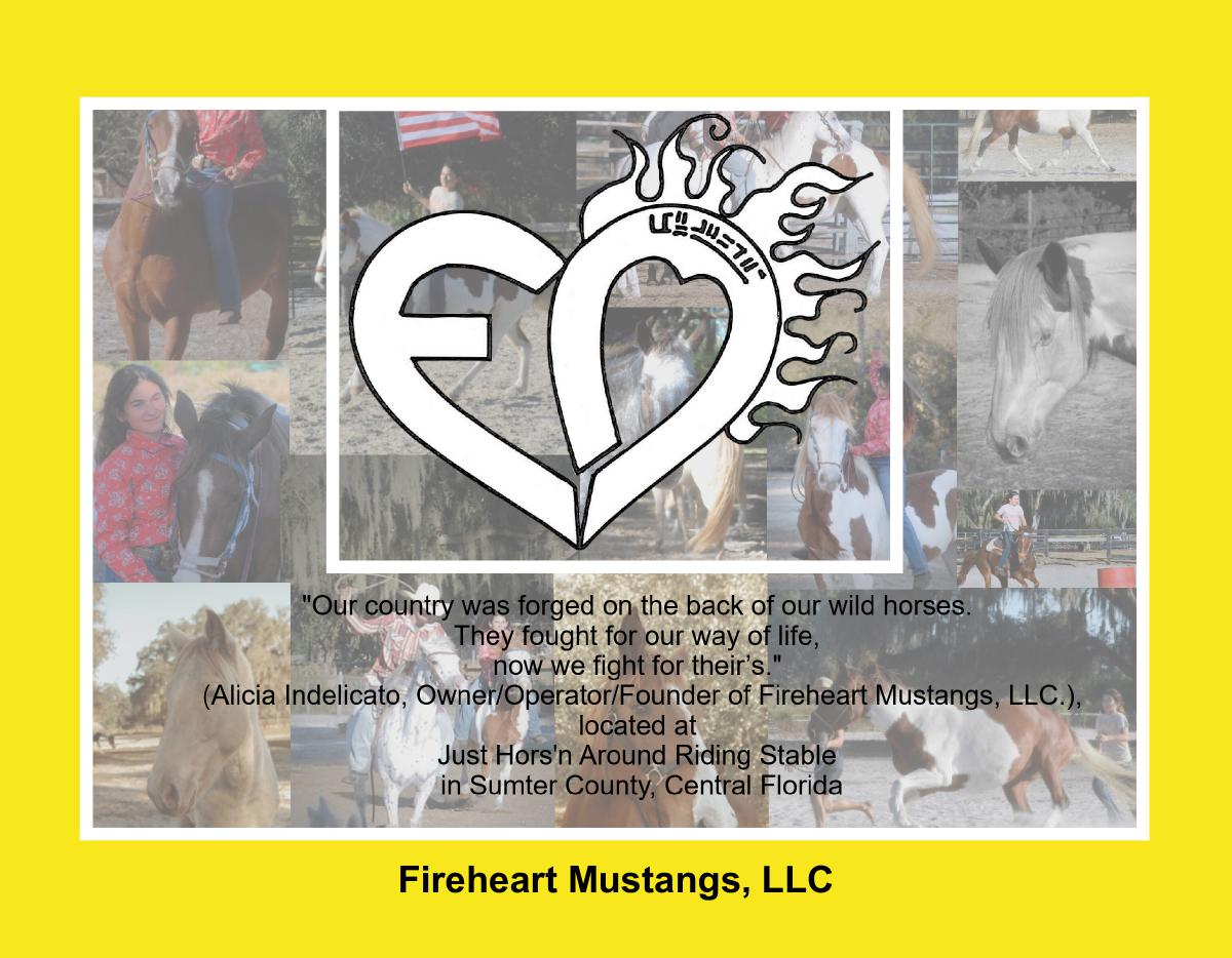 Fireheart Mustangs