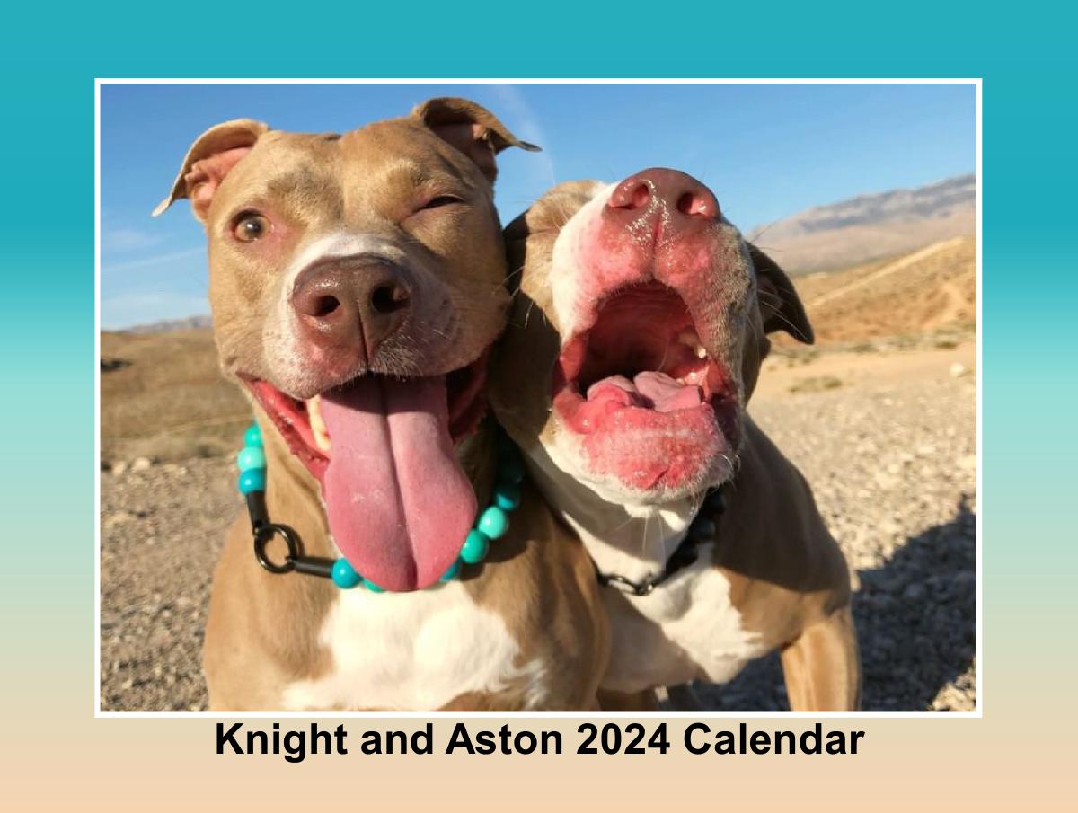 Knight and Aston 2024 Calendar