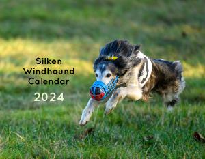 Silken Windhound 2024 Calendar