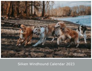 Silken Windhound Calendar 2023
