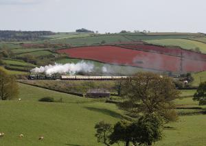 Steam Train greeting card