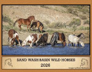 Sand Wash Basin Wild Horses 2026