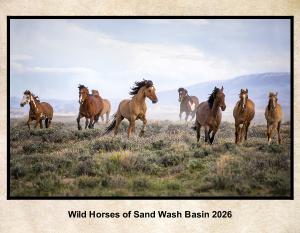 Wild Horses Of Sand Wash Basin 2026
