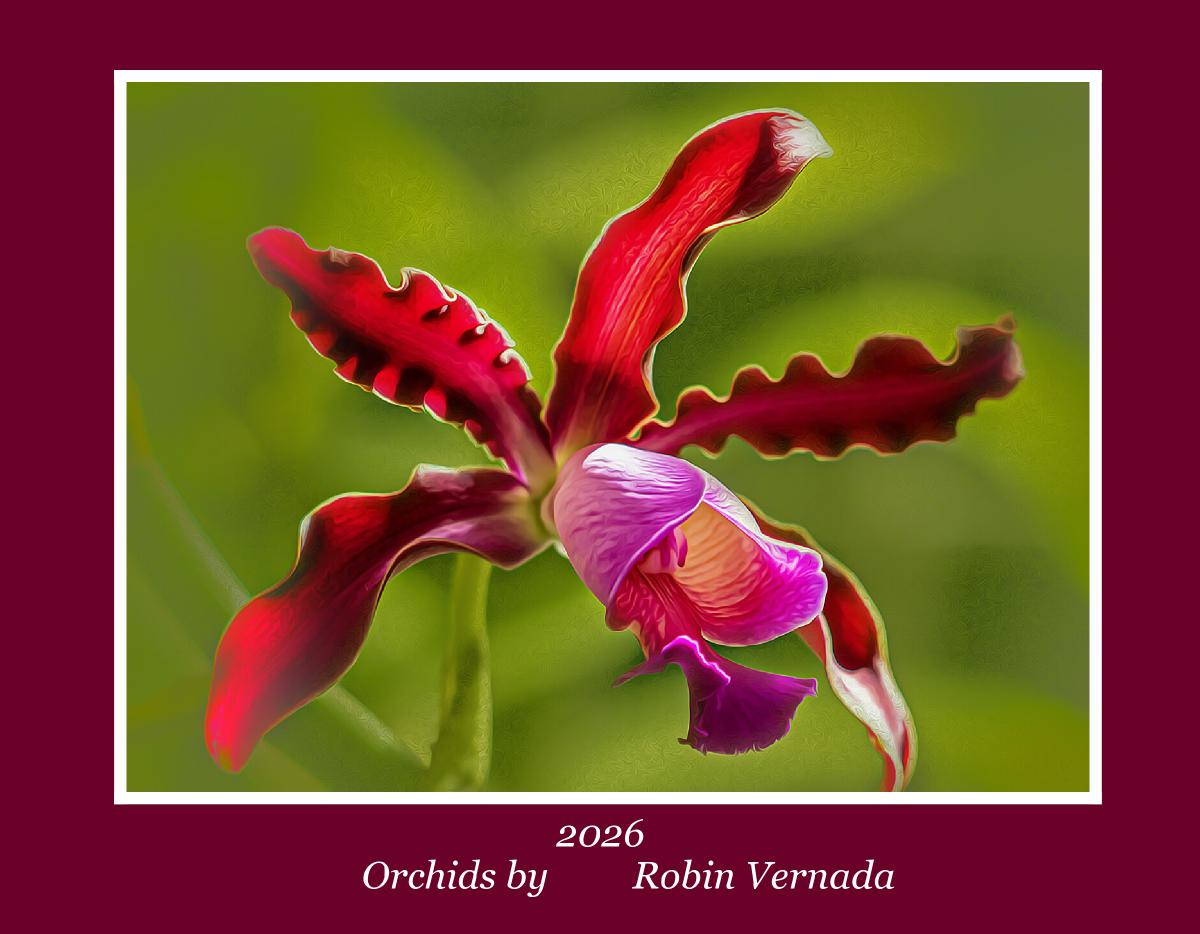 Orchids 2026