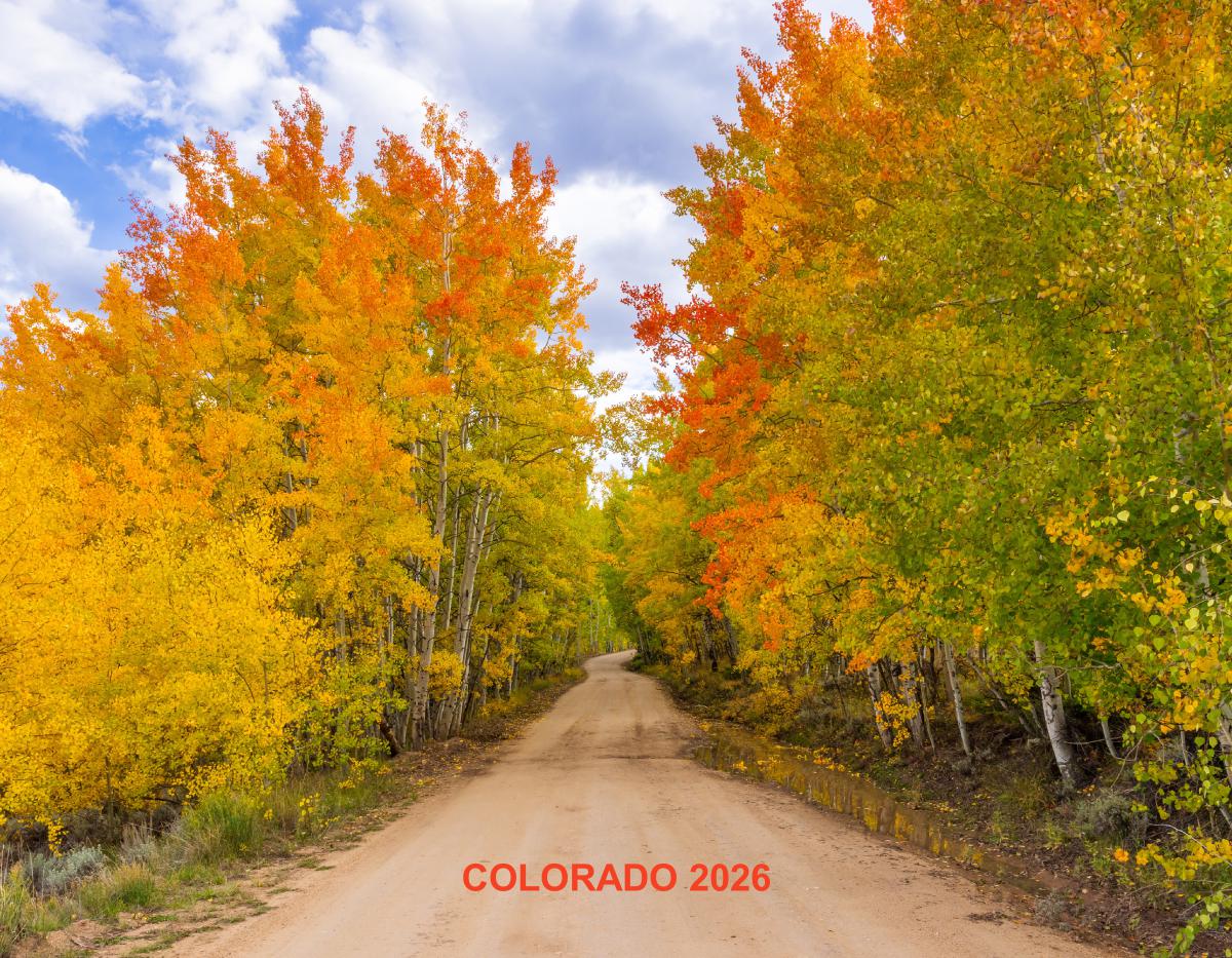 2026 Nelson Family Calendar