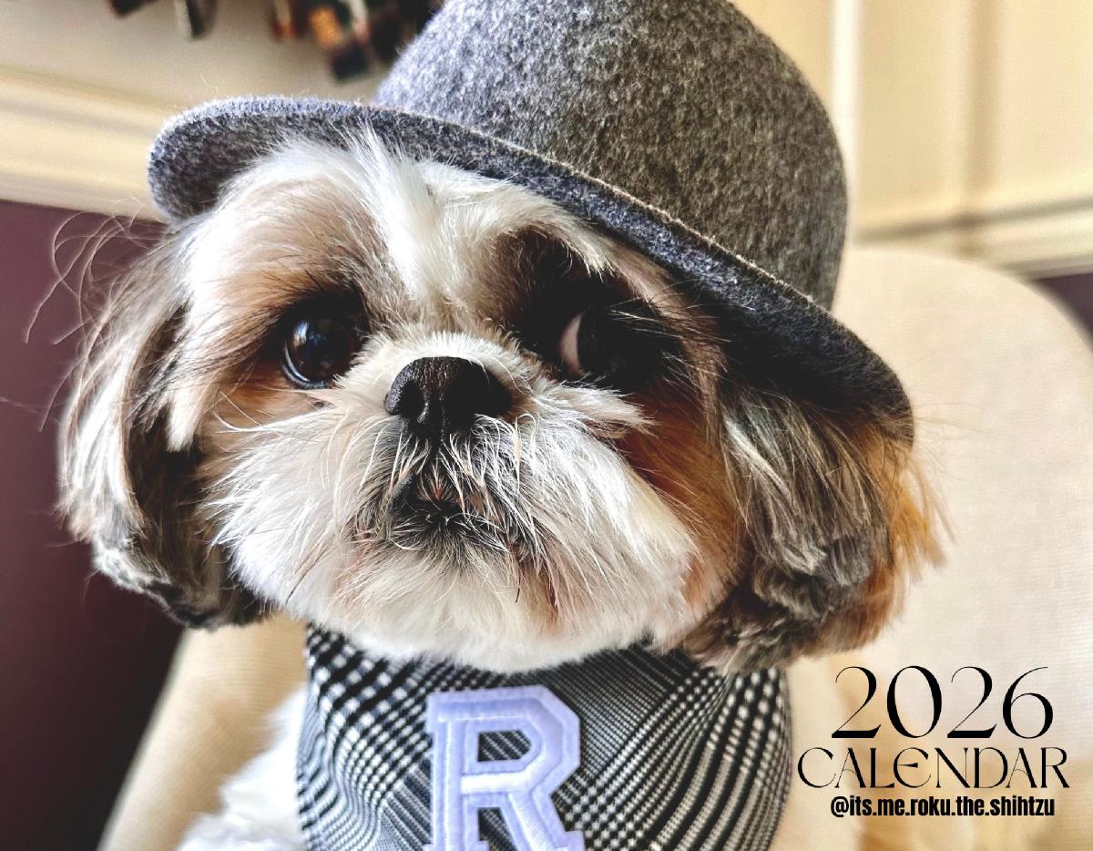 Roku the Shihtzu 2026 Calendar
