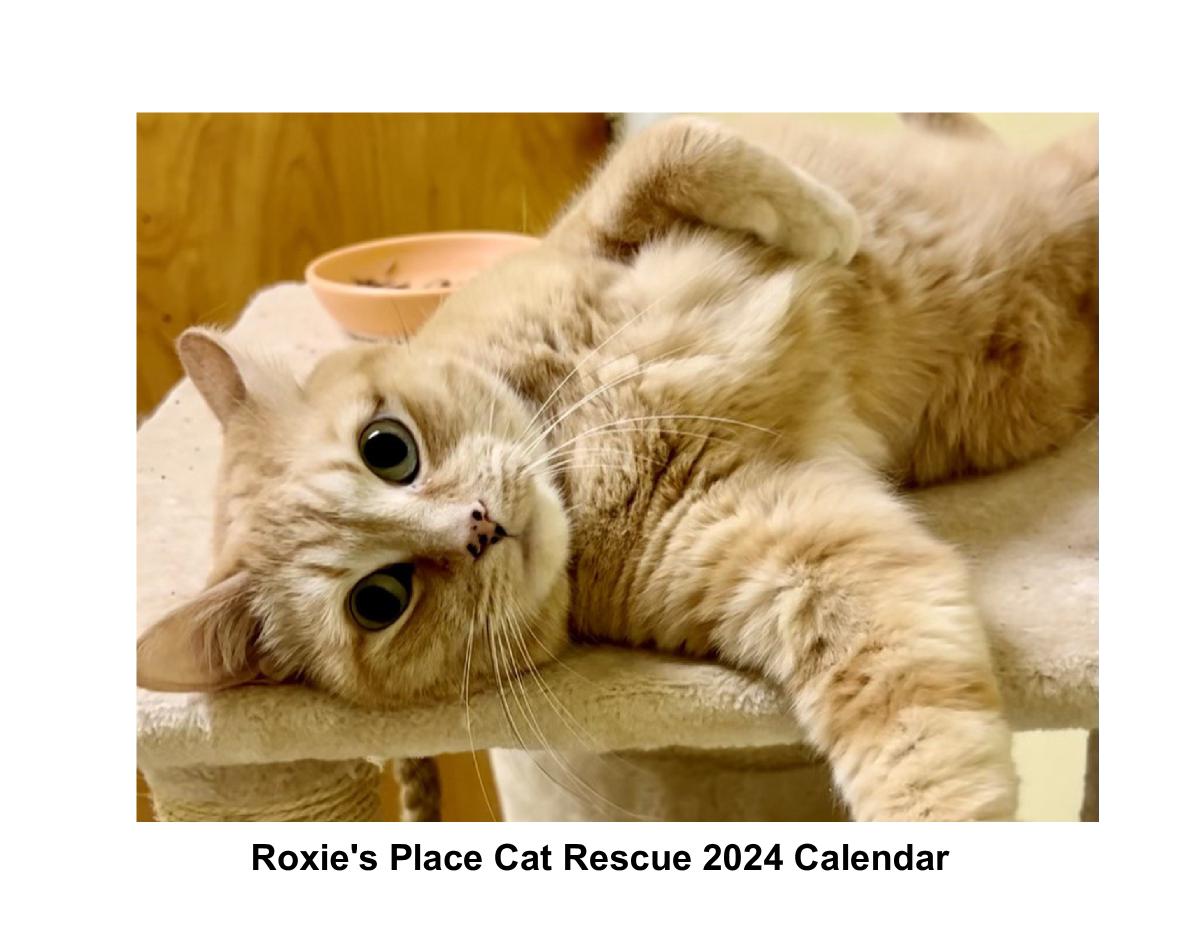 Roxie’s place cat rescue calendar