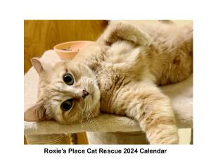 Roxie’s place cat rescue calendar