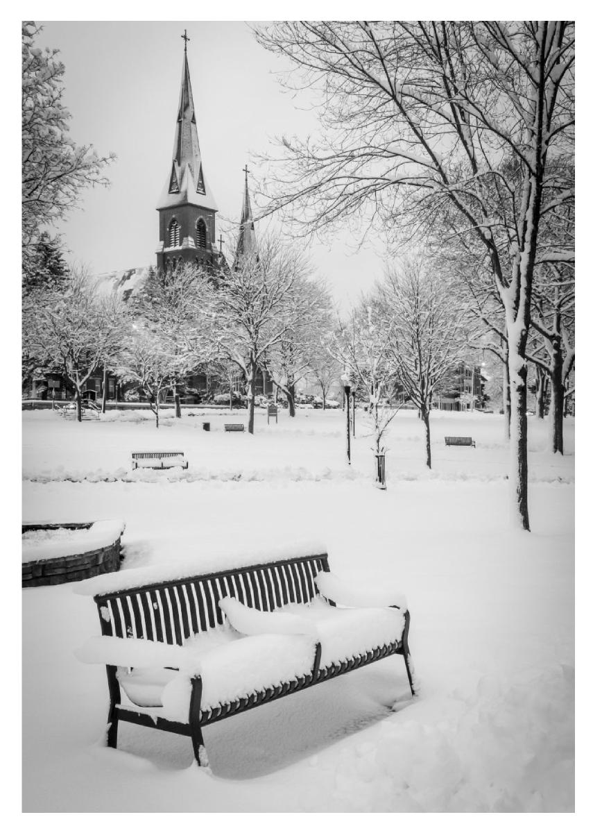 Winter in Kennedy Park