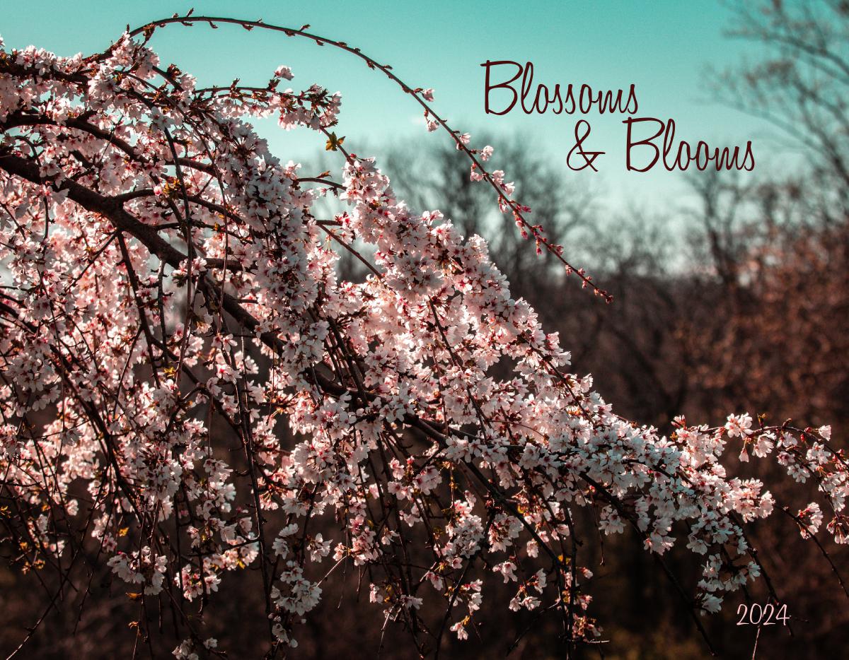 Blossoms & Blooms 2024 Calendar