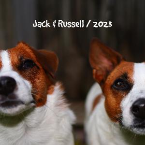 Jack & Russell - 2023