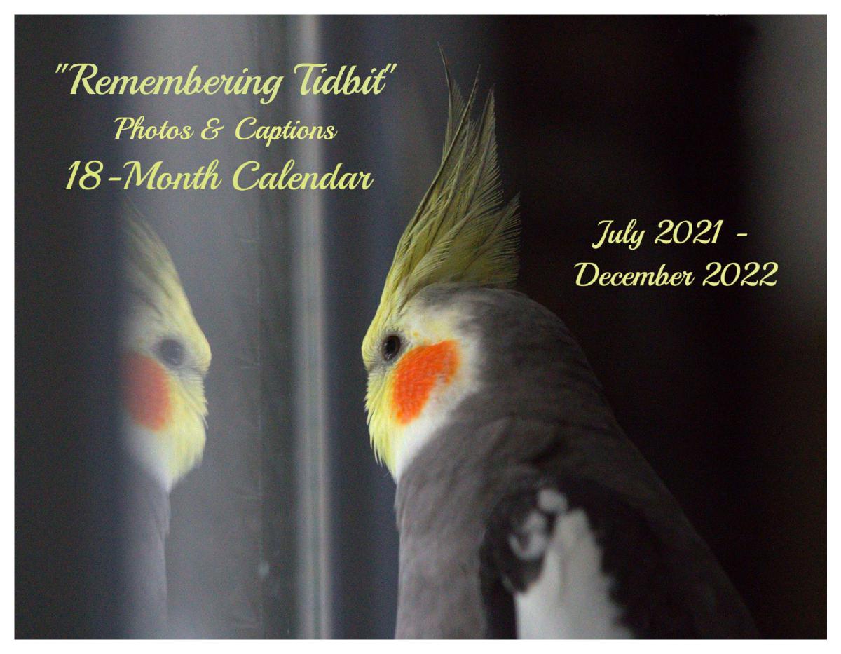 remembering tidbit 18 month calendar create photo calendars