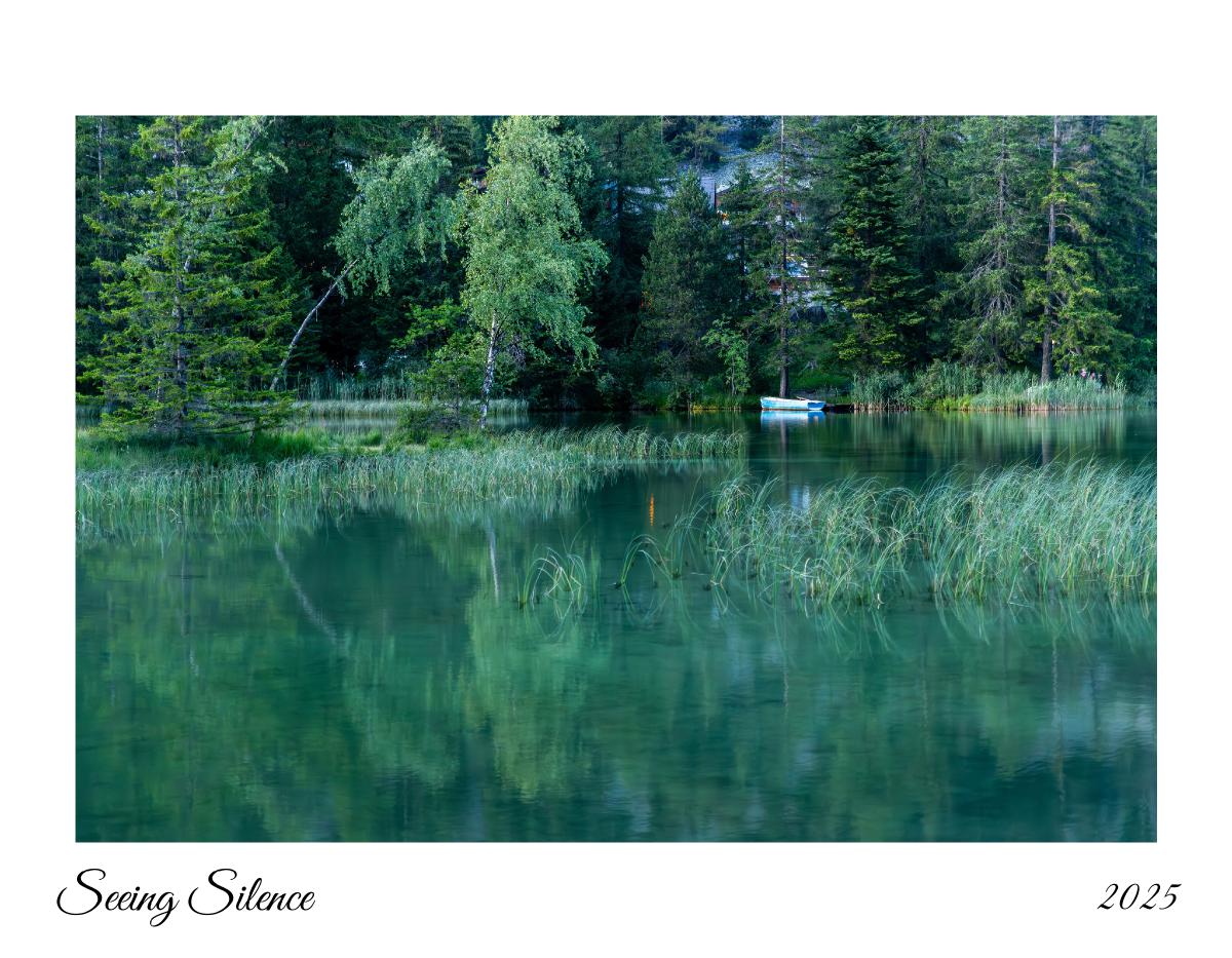 Seeing Silence