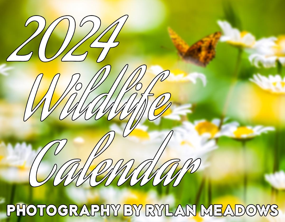 2024 Wildlife Calendar