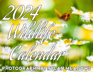 2024 Wildlife Calendar