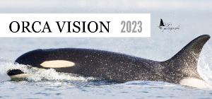 Orca Vision 2023 Desk Calendar