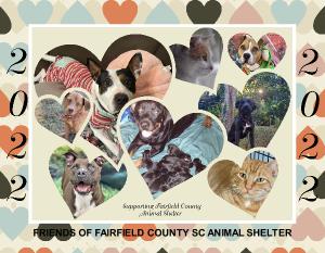 2022: FRIENDS OF FAIRFIELD COUNTY ANIMALS