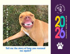 Because of Roscoe 2026 Annual Calendar