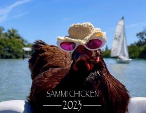 Sammi Chicken 2023 Calendar