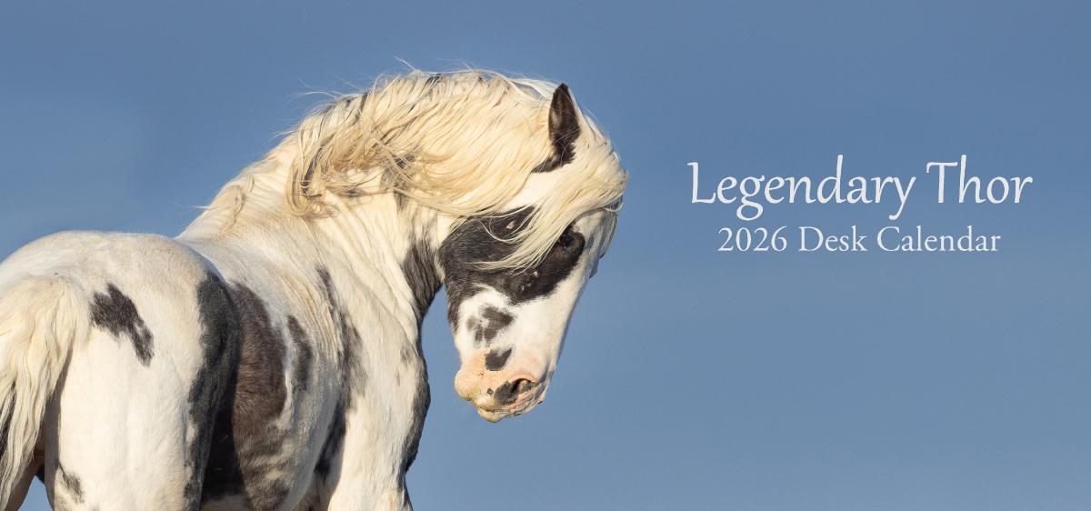 Legendary Thor Desk Calendar