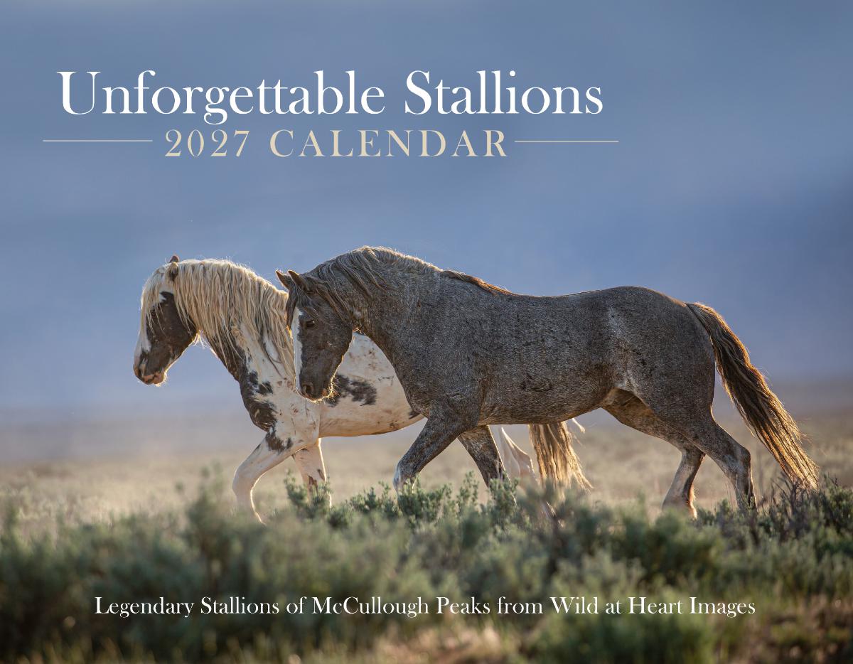 Unforgettable Stallions 2027 Calendar