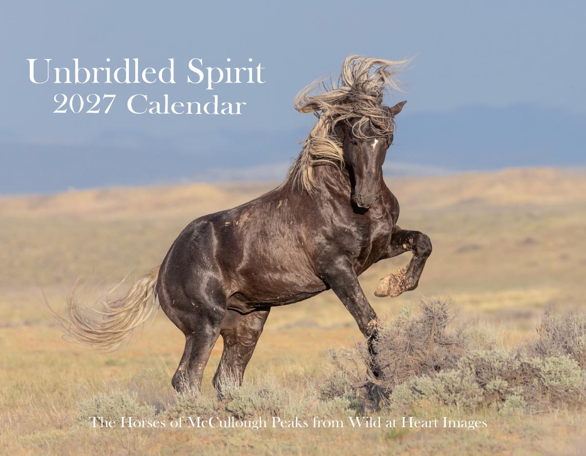 Unbridled Spirit 2027 Calendar