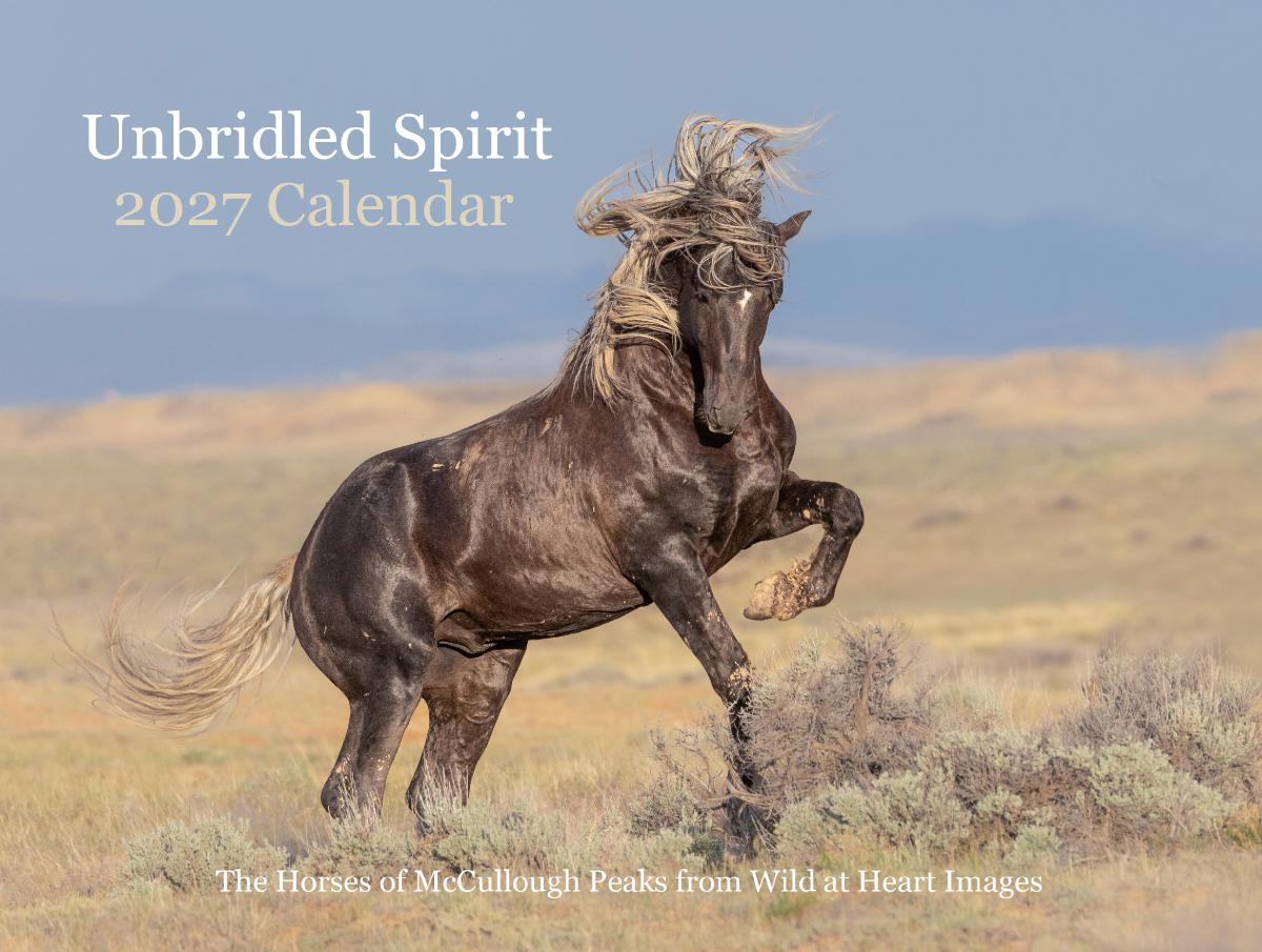 Unbridled Spirit 2027 Calendar
