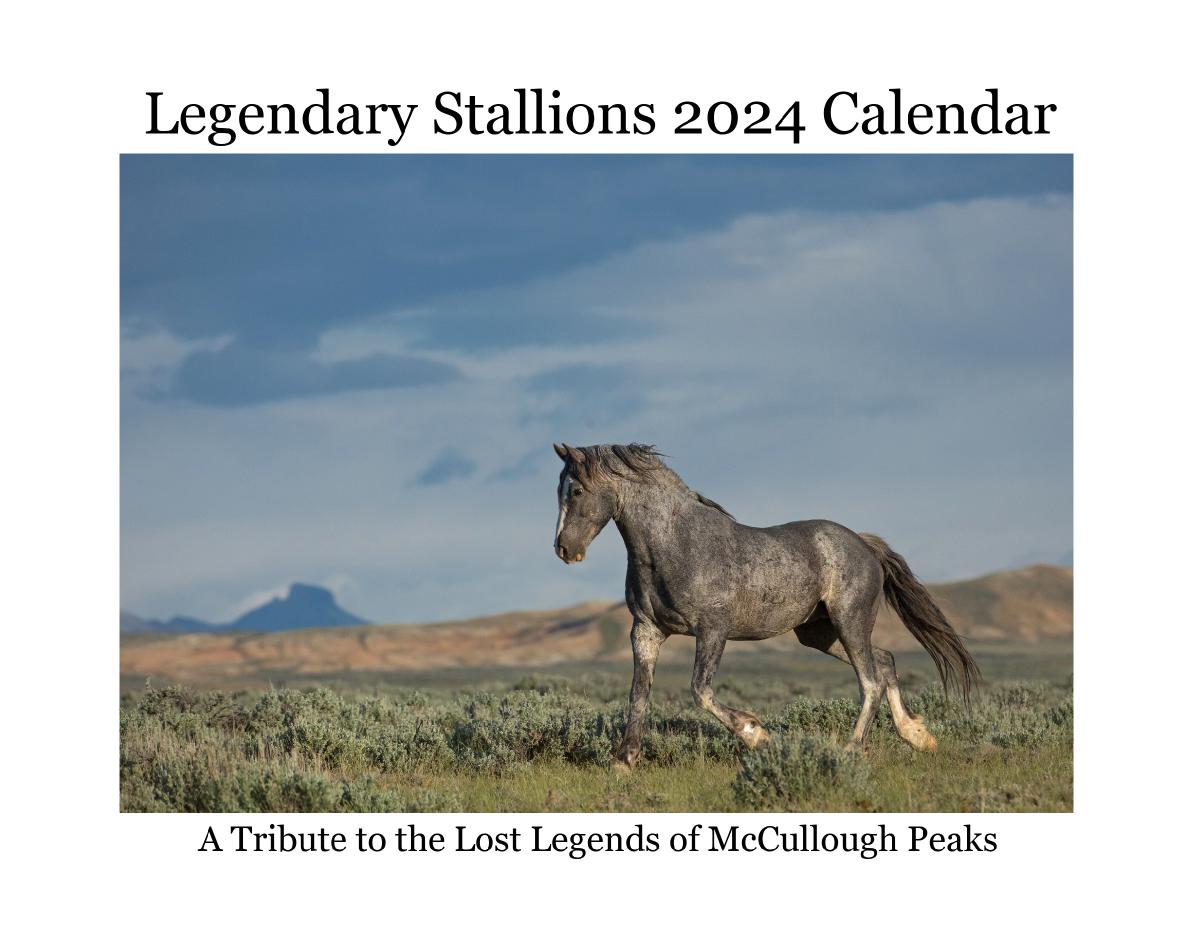 Legendary Stallions 2024 Calendar