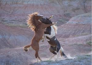 "Battle at Red Rock" Note Card