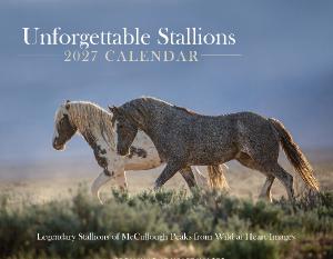 Unforgettable Stallions 2027 Calendar