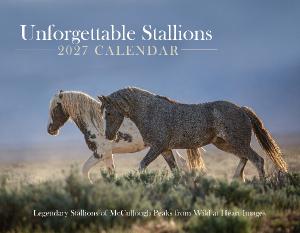 Unforgettable Stallions 2027 Calendar