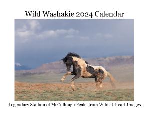 Wild Washakie 2024 Calendar