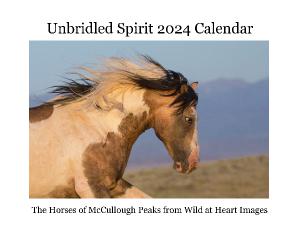 Unbridled Spirit 2024 Calendar