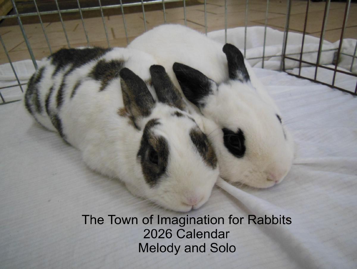 The Town of Imagination for Rabbits 2026 Calendar