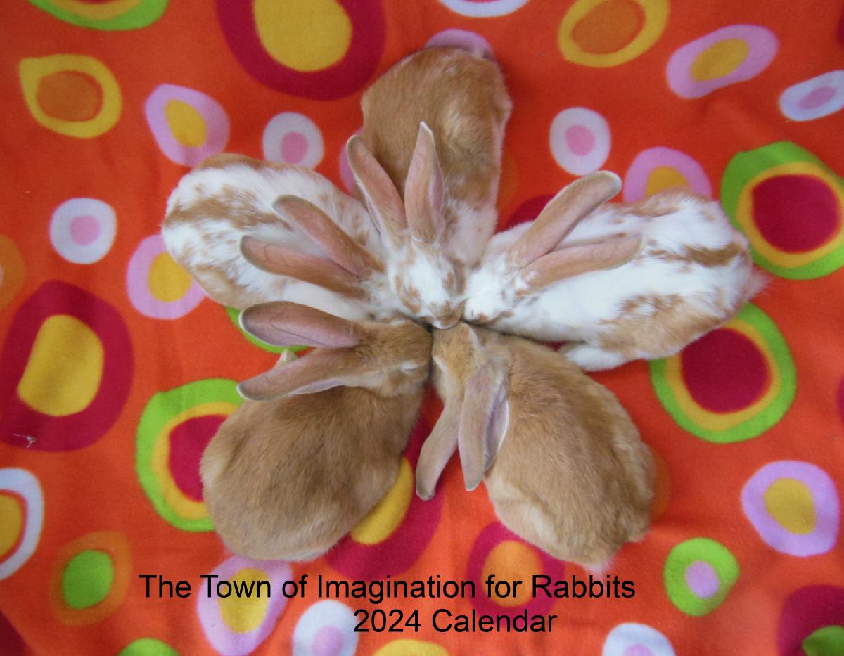 The Town of Imagination for Rabbits 2024 Calendar
