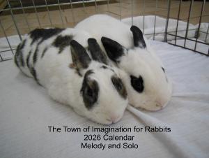 The Town of Imagination for Rabbits 2026 Calendar