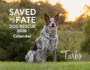 2026 Saved By Fate Calendar